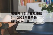 现在开什么小生意赚钱？，2023年春季最赚钱的小生意
