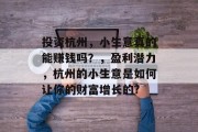 投资杭州，小生意真的能赚钱吗？，盈利潜力，杭州的小生意是如何让你的财富增长的?