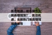 抓住机遇，现在做什么微商赚钱快？，抓住机遇，当前热门微商赚钱项目推荐