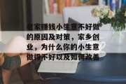 老家赚钱小生意不好做的原因及对策，家乡创业，为什么你的小生意做得不好以及如何改善