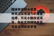 赚钱养家的小生意，一种灵活且有潜力的事业选择，万元小额投资项目，既能实现赚钱养家又能实现创业梦想