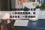 随时都能赚钱的小生意，一份详尽的指南，投资小生意，一份详细的指导