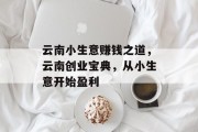 云南小生意赚钱之道，云南创业宝典，从小生意开始盈利
