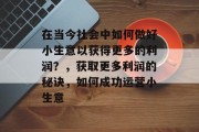 在当今社会中如何做好小生意以获得更多的利润？，获取更多利润的秘诀，如何成功运营小生意