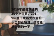2019年最受欢迎的20个小生意，2019年度十大最受欢迎的小型创业项目，你可能感兴趣的一下