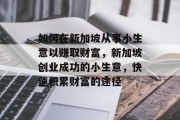 如何在新加坡从事小生意以赚取财富，新加坡创业成功的小生意，快速积累财富的途径
