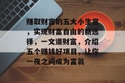 赚取财富的五大小生意，实现财富自由的新选择，一文道财富，介绍五个赚钱好项目，让你一夜之间成为富翁