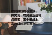 农民赚钱的小生意，一探究竟，农民创业盈利点探索，五个低成本、高收益的小生意