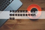 乡镇创业新机遇，探索哪些项目能带来可观的收益