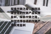 探索代销之路，如何选择合适的代销产品实现盈利，探索代销之路，如何选择合适的代销产品实现盈利