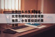 北京什么小生意赚钱，北京市朝阳区创业项目推荐，小生意投资的黄金期