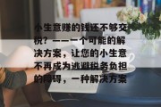 小生意赚的钱还不够交税？——一个可能的解决方案，让您的小生意不再成为逃避税务负担的障碍，一种解决方案