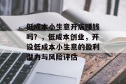 低成本小生意开店赚钱吗？，低成本创业，开设低成本小生意的盈利潜力与风险评估