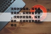 沈阳创业指南，探索最佳商机，实现财富梦想，沈阳创业指南，探索商机，实现财富梦想的路径