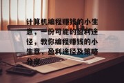 计算机编程赚钱的小生意，一份可能的盈利途径，教你编程赚钱的小生意，盈利途径及策略分享