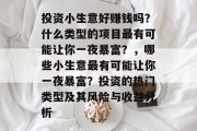 投资小生意好赚钱吗？什么类型的项目最有可能让你一夜暴富？，哪些小生意最有可能让你一夜暴富？投资的热门类型及其风险与收益分析