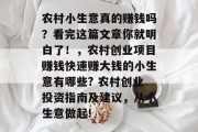 农村小生意真的赚钱吗？看完这篇文章你就明白了！，农村创业项目赚钱快速赚大钱的小生意有哪些? 农村创业投资指南及建议，从小生意做起!