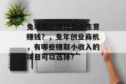 兔年可以做什么小生意赚钱？，兔年创业商机，有哪些赚取小收入的项目可以选择?