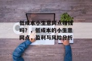 低成本小生意网点赚钱吗？，低成本的小生意网点，盈利与风险分析
