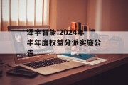 泽宇智能:2024年半年度权益分派实施公告