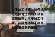 电子加工行业，如何通过选择合适的加工项目实现盈利，电子加工行业，选择合适加工项目以实现盈利的策略