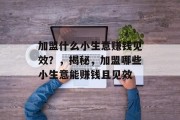 加盟什么小生意赚钱见效？，揭秘，加盟哪些小生意能赚钱且见效