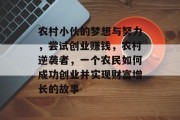 农村小伙的梦想与努力，尝试创业赚钱，农村逆袭者，一个农民如何成功创业并实现财富增长的故事