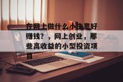 在网上做什么小生意好赚钱？，网上创业，那些高收益的小型投资项目