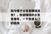 如今哪个小生意赚钱又快？，快速赚钱的小生意推荐，一个快速入门的指南
