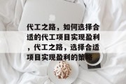 代工之路，如何选择合适的代工项目实现盈利，代工之路，选择合适项目实现盈利的策略