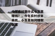 今年农村做什么小生意赚钱？，今年农村创业商机，小生意如何赚取财富