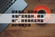 探索商机，如何通过精准推广实现盈利，精准推广，探索商机实现盈利的策略之道