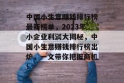 中国小生意赚钱排行榜最新榜单，2023年小企业利润大揭秘，中国小生意赚钱排行榜出炉，一文带你把握商机！