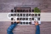 爱上赚钱的小生意——如何选择合适的创业项目，我的创业之路，适合您的独特商机