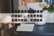 小生意是否真的能带来好收益？，小生意也能实现大收益，关键因素和策略