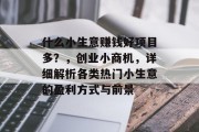 什么小生意赚钱好项目多？，创业小商机，详细解析各类热门小生意的盈利方式与前景
