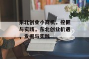 东北创业小商机，挖掘与实践，东北创业机遇，发掘与实践