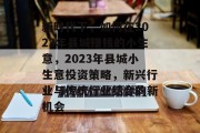 新时代下，如何在2023年县城赚钱的小生意，2023年县城小生意投资策略，新兴行业与传统行业结合的新机会
