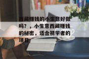 西藏赚钱的小生意好做吗？，小生意西藏赚钱的秘密，适合初学者的项目