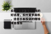 农村夏天小生意赚钱的好选择，农村夏季商机，适合小本投资的赚钱项目推荐
