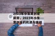 2023年小生意创业前景，2023年小生意创业的机遇与挑战