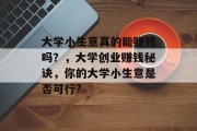 大学小生意真的能赚钱吗？，大学创业赚钱秘诀，你的大学小生意是否可行?