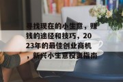 寻找现在的小生意，赚钱的途径和技巧，2023年的最佳创业商机，新兴小生意投资指南