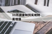 11万资金如何实现财富增值