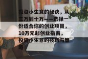 投资小生意的秘诀，从三万到十万——选择一份适合你的创业项目，10万元起创业指南，投资小生意的技巧与策略