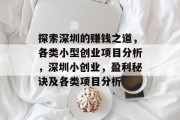探索深圳的赚钱之道，各类小型创业项目分析，深圳小创业，盈利秘诀及各类项目分析
