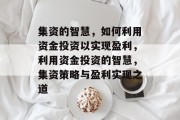 集资的智慧，如何利用资金投资以实现盈利，利用资金投资的智慧，集资策略与盈利实现之道