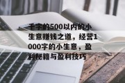 千字的500以内的小生意赚钱之道，经营1000字的小生意，盈利秘籍与盈利技巧