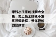 赚钱小生意的视频大全集，史上最全赚钱小生意视频教程，带你轻松创业致富