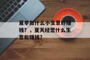 夏季做什么小生意好赚钱？，夏天经营什么生意能赚钱?